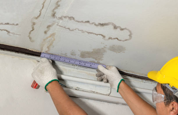 Reliable Water Damage contractor in Amherstdale, WV by Water Damage Irwin